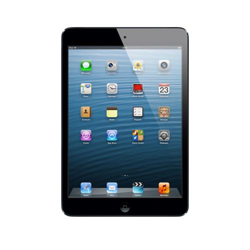 iPad Apple iPad Mini 64Go Noir
